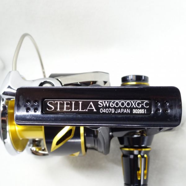 20ステラ SW6000XG